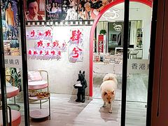 -肆兮眼镜·蔡司·徕卡战略合作店(大坪店)