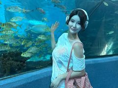 -合肥海洋世界