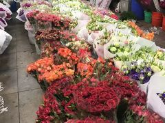 -双季花艺园艺市场(浦东店)