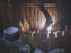 -扫雪煮茶(西村店)