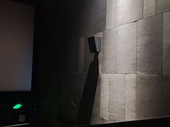 -CGV星星影城(颐堤港ScreenX店)