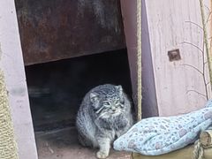 -青藏高原野生动物园