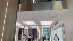 点击看大图 -金棕榈