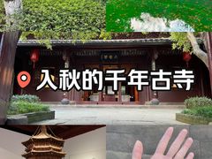 -宁波市保国寺古建筑博物馆
