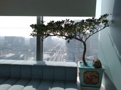 -颜蕾医美·黄金微针·水光·玻尿酸·超声炮·抗衰中心