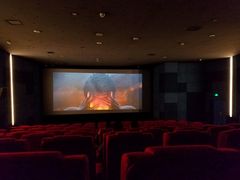 -太平洋影院(西村店)