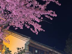 -阿昌白族石板烧·菌锅(大理古城店)
