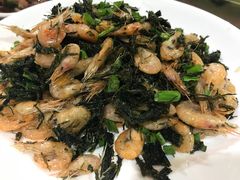 苔条虾-红灯笼龙凤饭店(宁波老字号店)