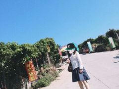 -大泽山风景名胜区