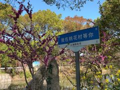 -南汇桃花村