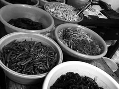 -赵府街副食店