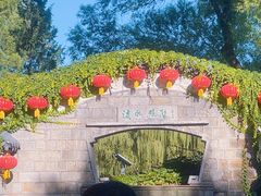 -团结湖公园