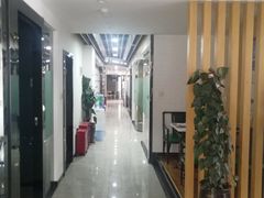-啄木鸟美国留学(顺城东塔店)