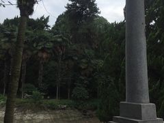 -叶家花园