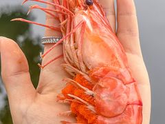 -小陆莲花蟹园农家乐(莲花岛店)