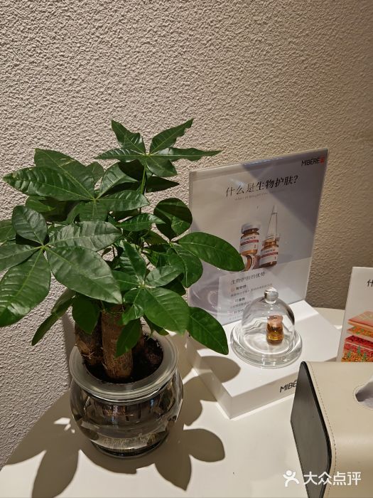 莲花国际广场图片