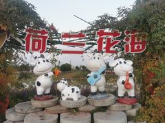 -荷兰花海