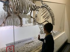 -国家自然博物馆