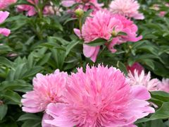 -长春公园(普阳街道)