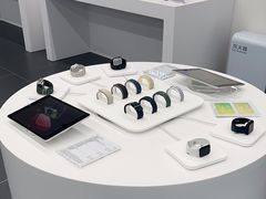 -Apple授权专营店(洪山镇万象城店)