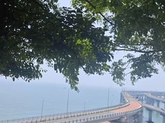 -星海湾跨海大桥
