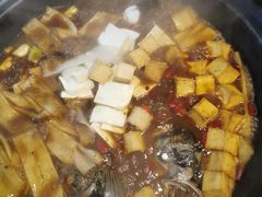水库胖头鱼-姥家大锅台水库渔家