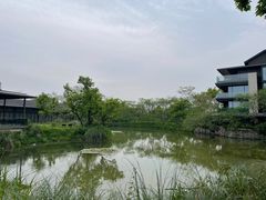 -木守西溪溪隐餐厅