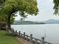 -杭州西湖柳莺里酒店·闻莺厅