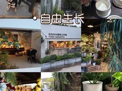 -自由生长植物工作室(深港花卉中心店)