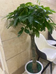 点击看大图 -重庆军科整形美容医院