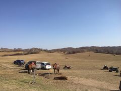 -塞罕坝国家级自然保护区