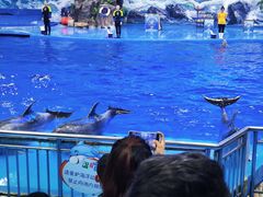 -多彩贵州城极地海洋世界