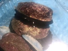 -1718海鲜姿造(苏宁宴请臻选店)