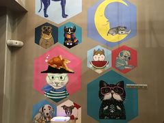 -MOLLY'S萌宠生活馆