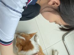 -怪兽屋·羊驼·猫咖·狗咖(俊华广场店)