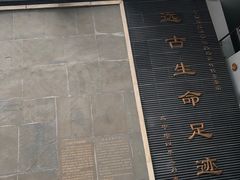 -中国地质大学逸夫博物馆