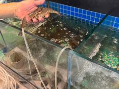 -蛙太牛牛肉海鲜自助火锅(台江万达店)