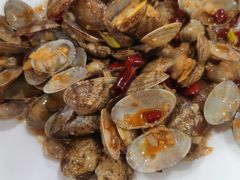 -小叶大馅饺子城