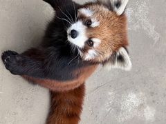 -杭州野生动物世界