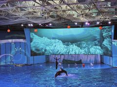 -海合安青岛极地海洋公园