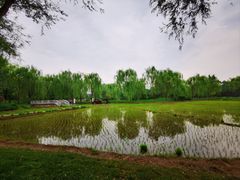-北坞公园
