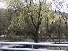 -西湖风景区-江洋畈生态公园