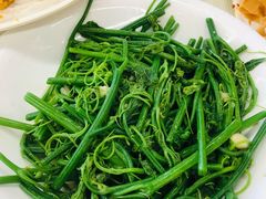 蒜蓉南瓜苗-新金盛·海鲜酒楼(盐田店)