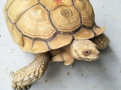 -广东茂名森林公园