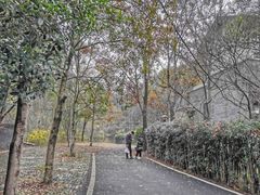 -青龙山国家森林公园
