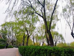 -康庄公园