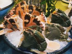 -半岛翡丽海鲜自助餐厅(观风亭店)