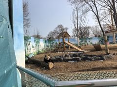 -秦皇岛野生动物园