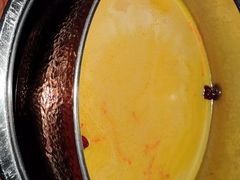 -花菇朵·云山雀 ll 野生菌锅·野果酸汤·精品滇菜(万柳店)