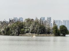 -东湖落雁景区
